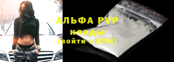 тгк Вяземский