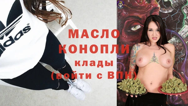 тгк Вяземский