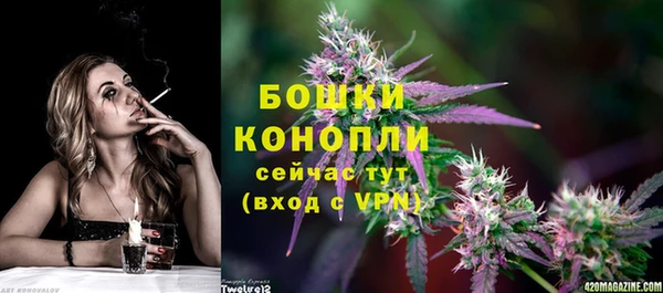 тгк Вяземский