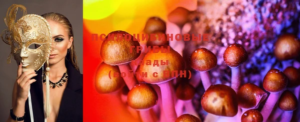 тгк Вяземский