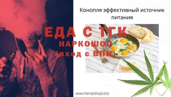 тгк Вяземский