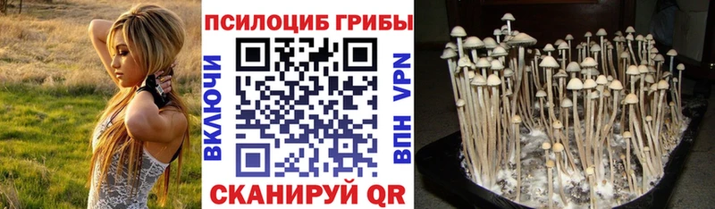 Псилоцибиновые грибы Psilocybine cubensis  Купить  Урень 